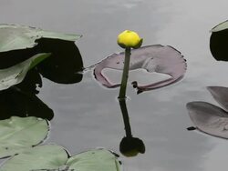 New Interior Secretary Sally Jewell Tours Florida Wildlife Refuge Stock Footage
