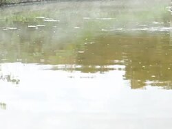 Thermal springs Stock Footage