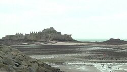 CLEAN : Apple tax avoidance plan laid bare in leaked documents News Clip