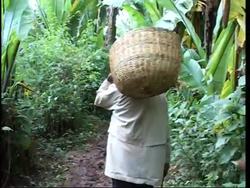 Coffee farmers demand fairtrade News Clip