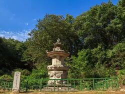Shot of Wonjongdaesatap(stone pagoda, Korea Treasure 7) and tree at Godalsaji temple site Stock Footage
