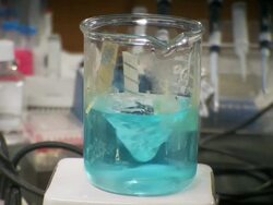 CU Water in spiral using magnetic stirrer / Toronto, Ontario, Canada   Stock Footage