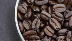 close-up panning: coffee beans Stock Footage
