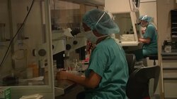 Fertility treatment for gay women ++EMBARGOED++ News Clip