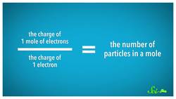 Happy Mole Day! Instructional Video