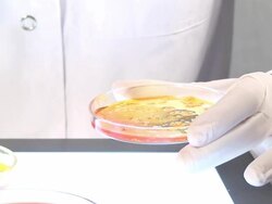 Work in lab Stock Footage