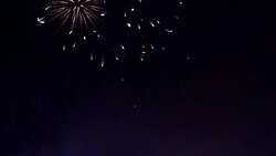 Beautiful Firework Blooming Stock Footage