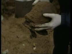 Mass graves discovered dating from Stalinist era near St Petersburg News Clip