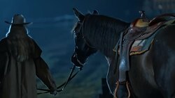 SLO MO DS Female rancher leading her horse at night Stock Footage