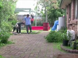 My Pet Crocodile Stock Footage