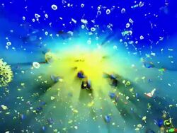 Butterflies, dandelion Stock Footage