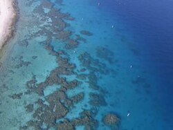 Aerial Coral reef in the Red Sea, Eilat, Arava, Israel Stock Footage