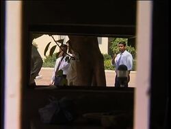 Protest outside Myanmar embassy turns violent News Clip