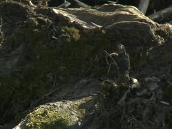 HD: Pollution Stock Footage