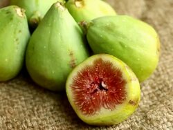 Figs rotating Stock Footage