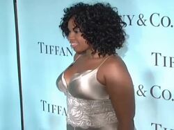 Tiffany & Co - Launch of the 2008 Blue Book Collection Stock Footage