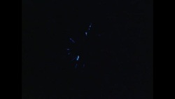 News Item (7b70d170-45f0-1999-edf7-47e8ddea1172) News Clip