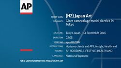 Giant camouflage model dazzles in Tokyo  Instructional Video