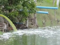 Waste Water Stock Footage