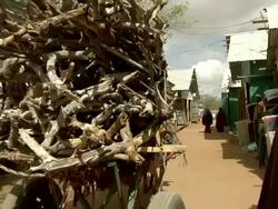 Donkey pulls cart laden with wood through village Stock Footage