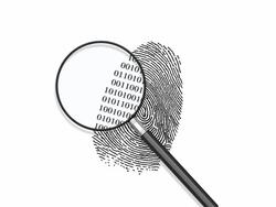 Fingerprint Binary Code Stock Footage