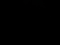 LIB 21-1-72 MEETING BETWEEN PRINCE CARLOS OF SPAIN AND EMPOROR HIROHITO News Clip