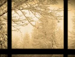 Winter Wonderland from inside Stock Footage