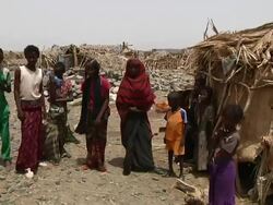 Afar family Stock Footage