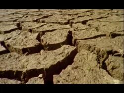Dry, cracked earth, Nagarahole, India Stock Footage