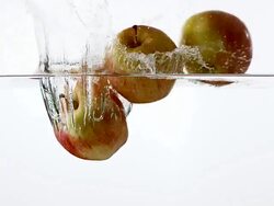 Tree apples, malus domestica,  falling into water against white background, Slow motion Stock Footage