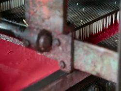 CU Shot of Wooden matchsticks are dipped simultaneously into conveyor belt tray containing sesquisulfide of phosphorus in the Korea Match Company factory / Andong, Gyeongsangbuk do, South Korea  Stock Footage