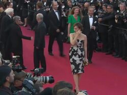 EVENT CAPSULE CLEAN - 'The Immigrant' Red Carpet at Palais des Festivals on May 24, 2013 in Cannes, France. (Footage by WireImage Video/Getty Images) Stock Footage