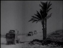 ON THE MARETH FRONT - News Clip