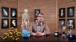 Reproductive System, part 4 - Pregnancy & Development: Crash Course A&P Instructional Video