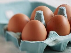 CU  PAN Shot of Hand taking egg from light blue carton / London, United Kingdom  Stock Footage