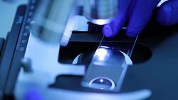 Researchers using a microscope in laboratory, slow motion Stock Footage