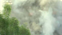 London Tower Block Fire: Grenfell Tower Resident interview News Clip