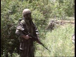 Preview report for Arab Summit News Clip