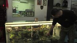 CLEAN : Veteranos de Hong Kong piden pasaporte britanico News Clip