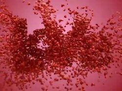 Love from Heart (Concept) Stock Footage