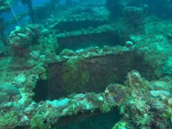 Unkai, Sponges, deck of ship, bow gun, Chuuk Lagoon, South Pacific  Stock Footage