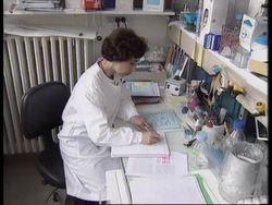 FRANCE: RESEARCHING THE EBOLA VIRUS News Clip