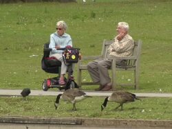 Heatwave Warning Given News Clip