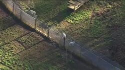 Aerial shots of Berkshire wolf sanctuary News Clip