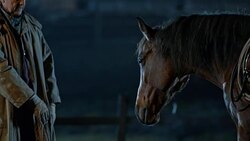 SLO MO DS Rancher doing groundwork with horse at night Stock Footage