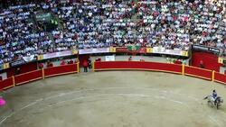 CLEAN : Spain bullfighter Hermoso de Mendoza News Clip