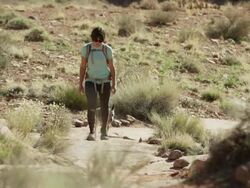 Wide shot of woman hiker walking with dog / Moab, Utah, United States Stock Footage