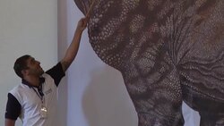 CLEAN : Largest dinosaur ever found in Brazil identified News Clip