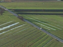 HD: Country road Stock Footage