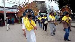 CLEAN: Bolivian natives march in road protest News Clip